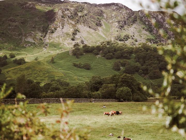 The Borrowdale Royal Oak Hotel | Rosthwaite | 2