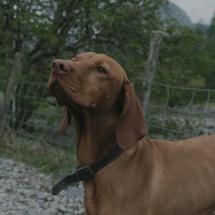 The Borrowdale Royal Oak Hotel | Rosthwaite | 3 reasons to stay with us - 1